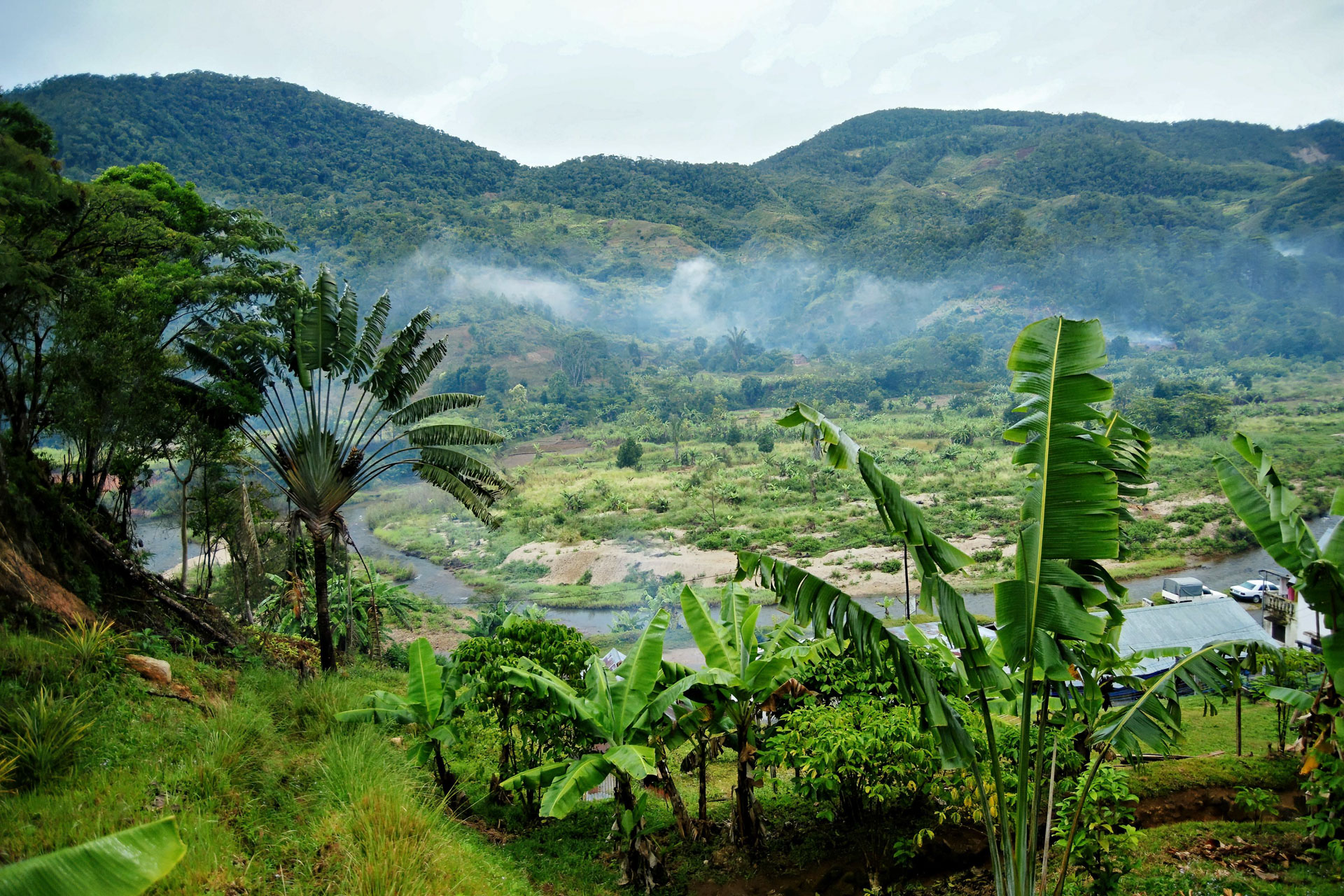 Blick auf den Ranomafana Nationalpark